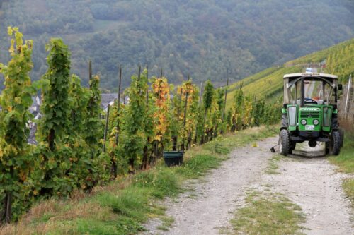 Gutschein - Kurzurlaub beim Winzer - Genuss für zwei an der Mosel